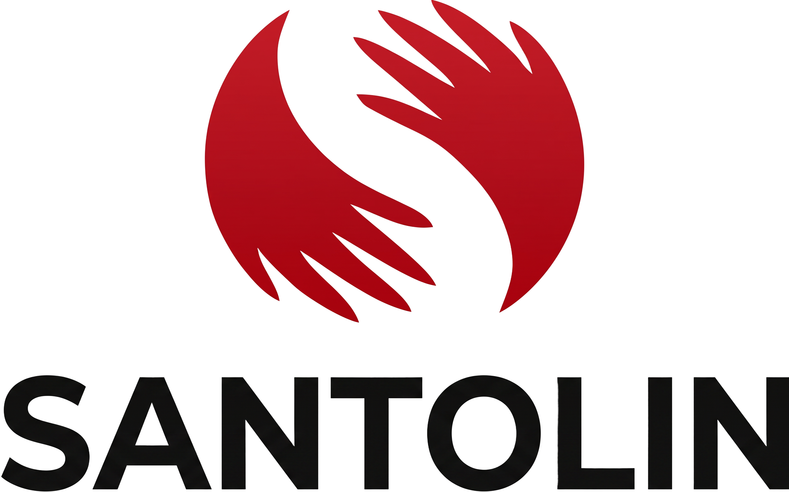 Santolin — seguros, contabilidade e serviços financeiros